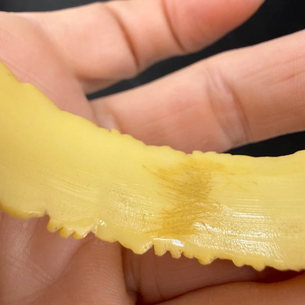 Vintage Molded Celluloid Floral Bangle Bracelet Yellow Rose Daisy Resin 8